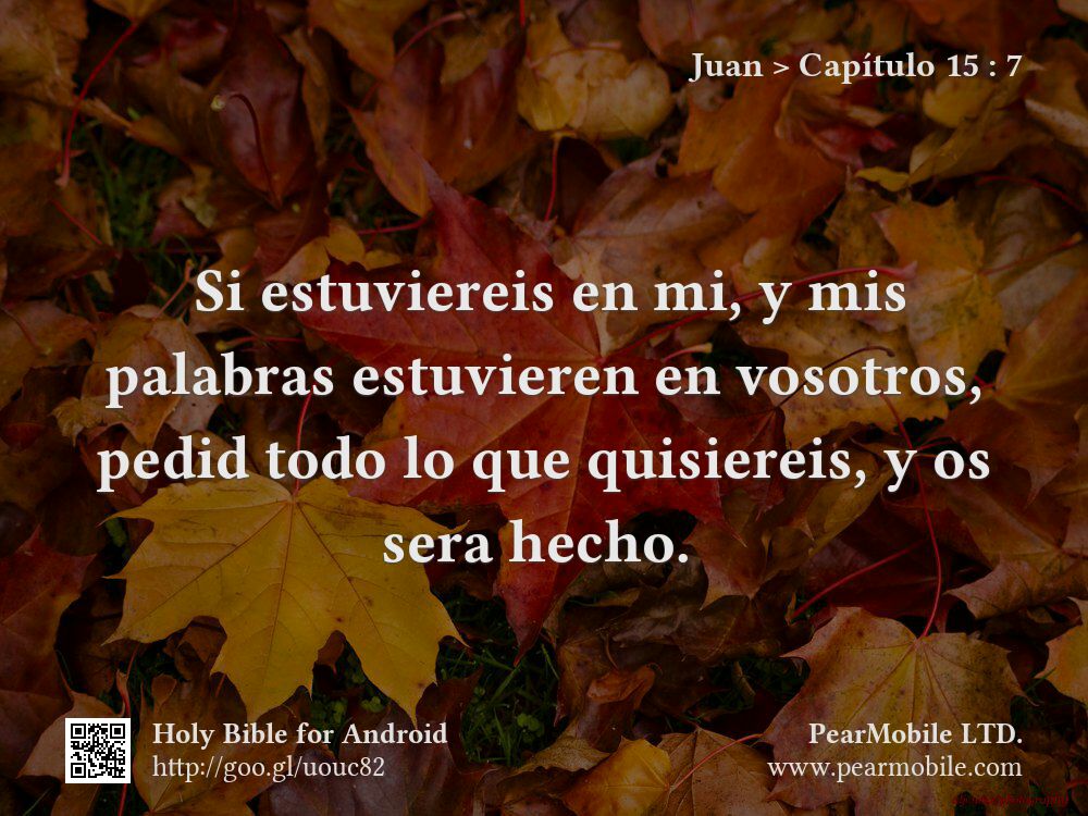 Juan, Capítulo 15:7